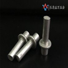 溫州市龍灣瑤溪雅格標(biāo)準(zhǔn)件廠廠部 專業(yè)鉚釘與標(biāo)準(zhǔn)件制造的卓越選擇